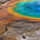 Illustration for article titled The Best Biology Photos Of 2014 Will Take You To Another World